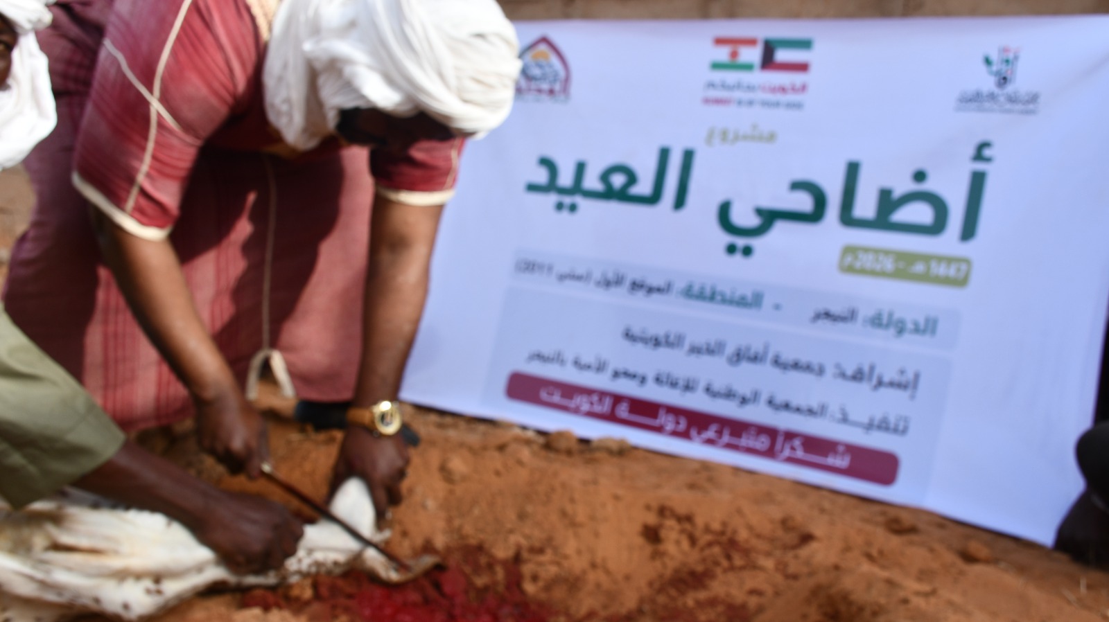 أضاحي العيد الدفعة الأولى - النيجر